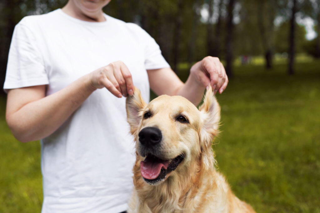 elderly person spendng tim with their pets